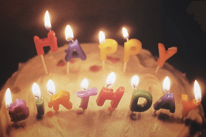 菅沼美代子のバースデードネーション 動物の画像