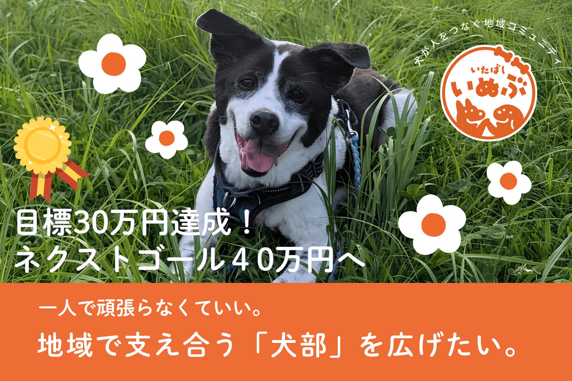 一人で頑張らなくていい。地域で支え合う「犬部」を広げたい。の画像