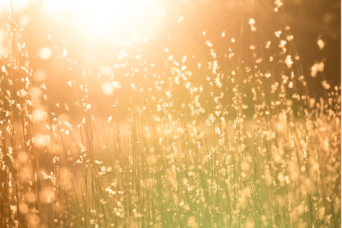 【親子がよりわかりあえるために】千晴のバースデードネーションの画像