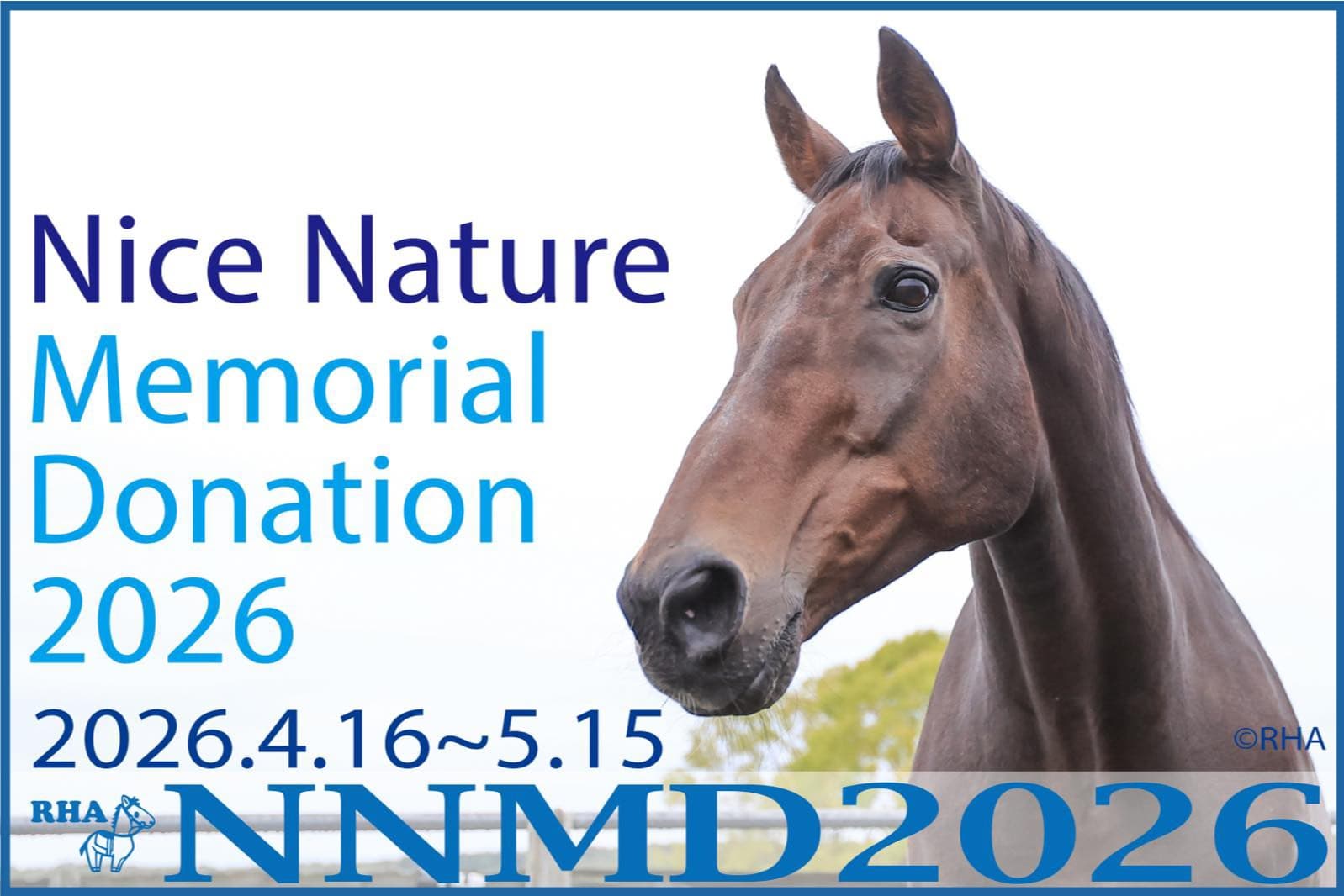 ナイスネイチャ・メモリアルドネーション 2026の画像