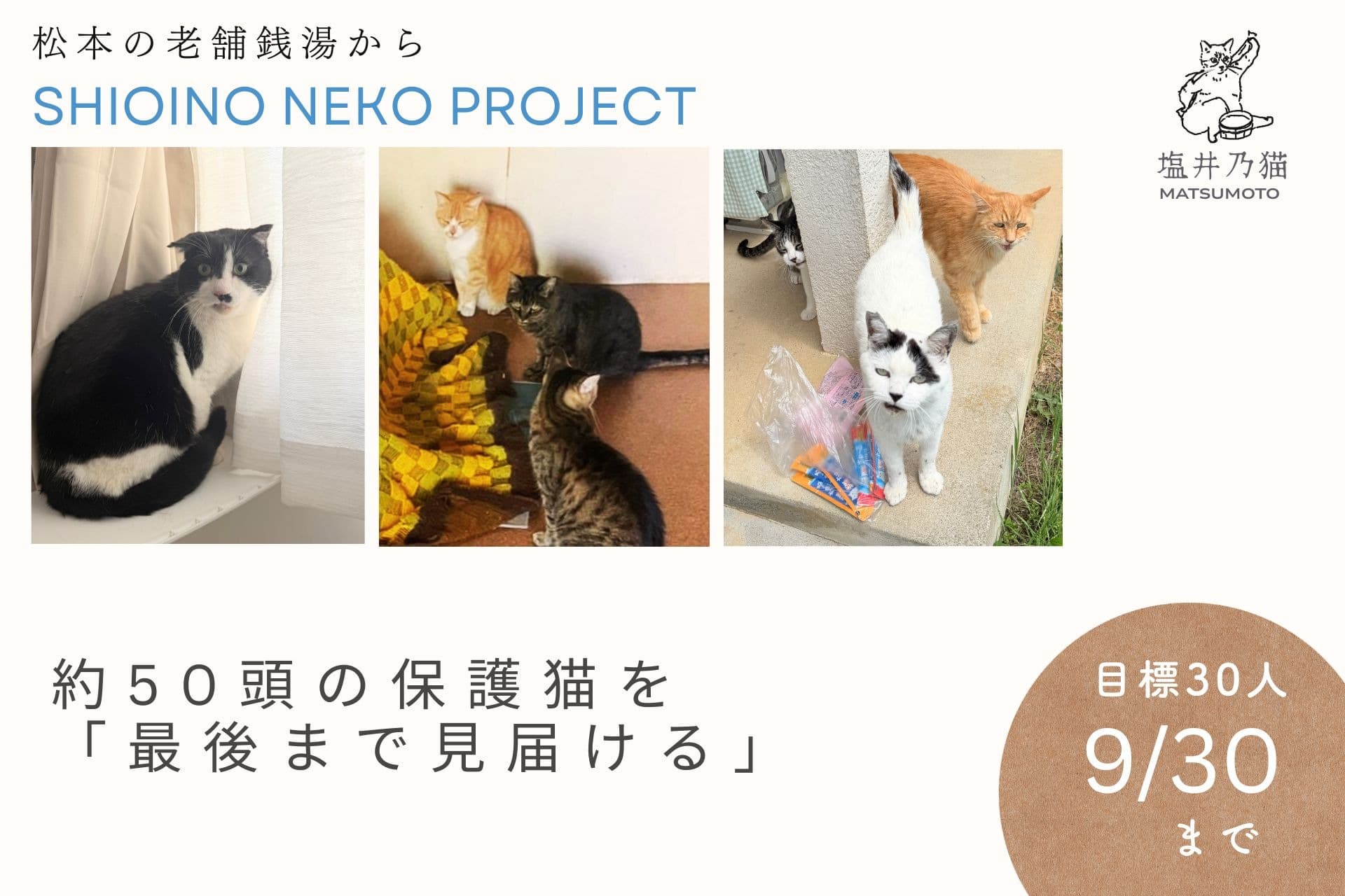 松本の老舗銭湯から。約50頭の保護猫を「最後まで見届ける」30人の仲間を募集の画像